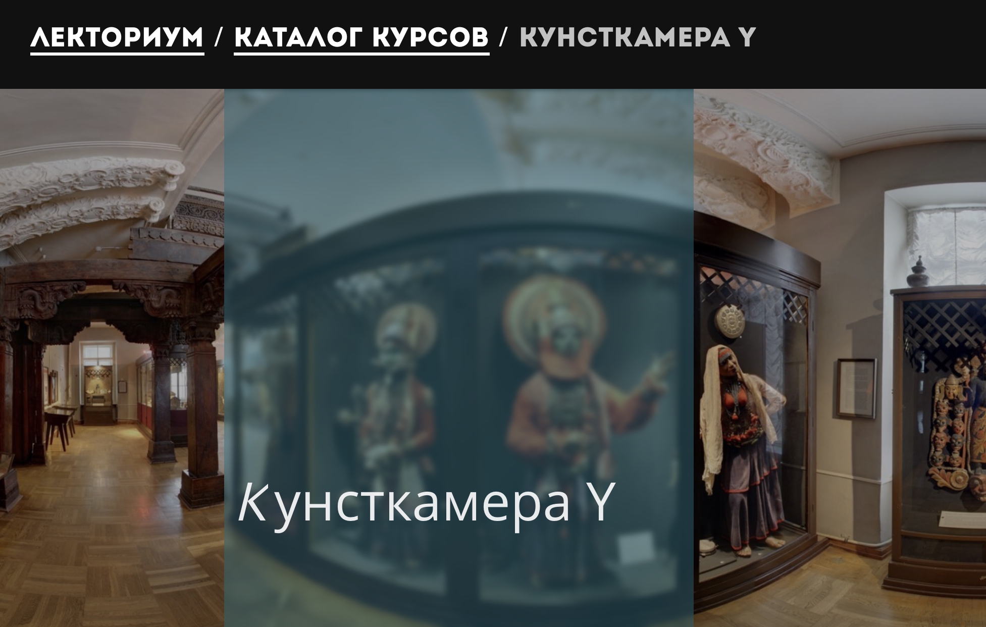 Кунсткамера спб билеты. Петергоф Кунсткамера изнутри. Кунсткамера Санкт-Петербург внутри виртуальный тур. Естественнонаучная коллекция Кунсткамеры. Кунсткамера Санкт-Петербург входной билет.